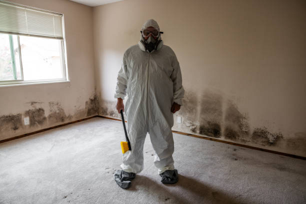 Best Professional Mold Removal  in Christmas, FL